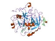 2a2x: Orally Active Thrombin Inhibitors in Complex with Thrombin Inh12