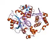 2bcu: DNA polymerase lambda in complex with a DNA duplex containing an unpaired Damp and a T:T mismatch