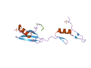 2ci8: SH2 DOMAIN OF HUMAN NCK1 ADAPTOR PROTEIN - UNCOMPLEXED