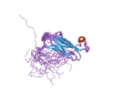 2cri: Solution structure of the MSP domain of mouse VAMP-associated proteinA