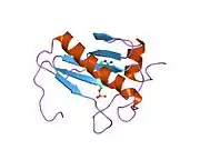 5rhn: HISTIDINE TRIAD NUCLEOTIDE-BINDING PROTEIN (HINT) FROM RABBIT COMPLEXED WITH 8-BR-AMP