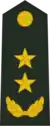 Lieutenant General