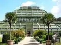 The Palm House