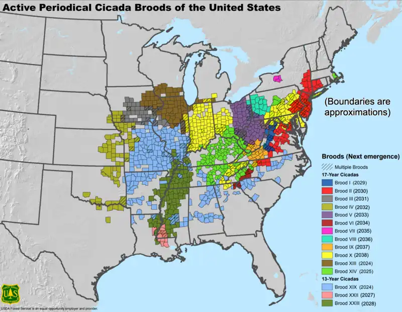 County-by-county map showing the locations of cicada broods, published May 2013