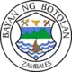 Official seal of Botolan