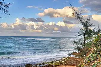 Piñones Beach (Campamento Piñones) in Torrecilla Baja