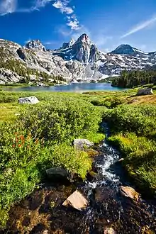 Painted Lady centered, from Rae Lakes area