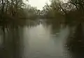 Local branch of the Uh (Uzh) river near Stretavka