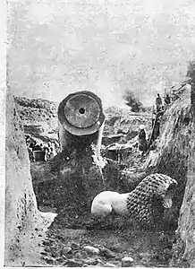 Rampurva lion excavation in 1907.