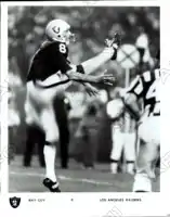 Ray GuyAmerican football player, punter, NFL Hall of Fame