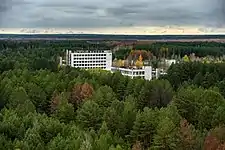 Forest area near the city