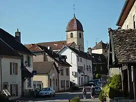 The church and surroundings in Rioz