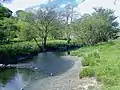 River Bain leaving Semerwater