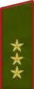 Colonel General