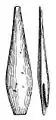 A bone point