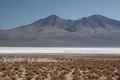 Chiguana salt lake (Salar de Chiguana) in the Pelcoya and Chiguana Cantons