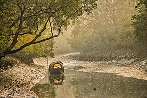 Sundarbans