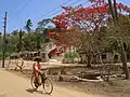 A street scene with a cyclist.