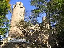 Outside of castle, with trees in front