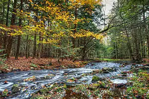 Stream in the hamlet of Rock Hill