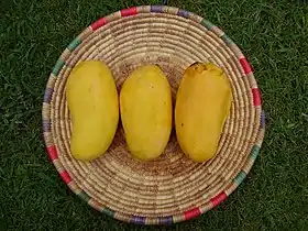 Sindhri origination in Mirpur Khas District is among top 10 mango varieties in the world