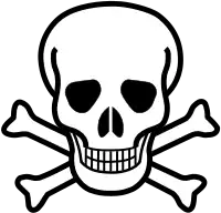 Skull and crossbones