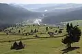 Slătioara secular forest, a UNESCO World Heritage Site, with a waldhufendorf (i.e. forest village) in the background.