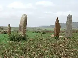 Small stelae in the Gudit Stelae Field