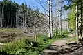 Smuggler Cove Marine Provincial Park