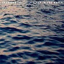 Main image is a dark body of water with waves and ripples visible. The artist's name is at top left in white block capitals: the album's name is in the same style at top right.