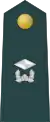 Junior lieutenant