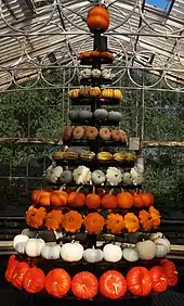 White, green, and orange squashes built into a Christmas tree shape