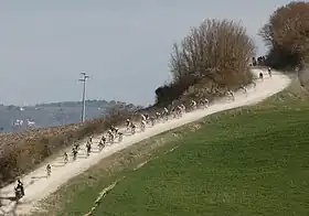 Peloton during the 2014 Strade Bianche