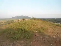 Gudiwada Dibba Buddhist Stupa Mound in Bhogapuram mandal