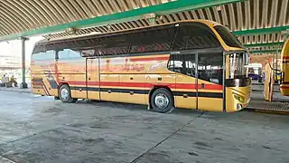 MAN bus