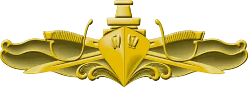 Surface Warfare Officer pin