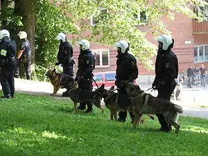 Swedish police dogs, 2007