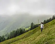 Swiss hay farmer