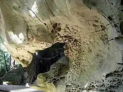 Tafoni formation in the mountains near San Francisco.