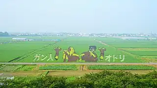 Tanbo art in Hachirogata