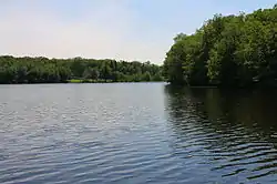 The Ice Ponds in Rice Township