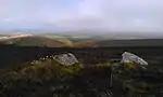 The Whit Stones: two standing stones 230 m west of Whitstone Post