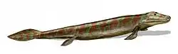 Image 73Tiktaalik, a fish with limb-like fins and a predecessor of tetrapods. Reconstruction from fossils about 375 million years old. (from History of Earth)