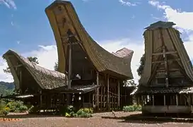 Tongkonan houses of the Toraja people with the distinctive saddleback roofs reminiscent of boats