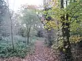 Footpath to Coppice Walk