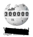 300 000 articles on the Turkish Wikipedia (2017)