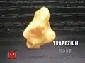 Trapezium bone.