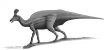 Tsintaosaurus spinorhinus