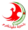 Official logo of Tulkarm