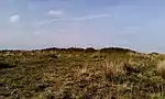 Bowl barrow and round cairn on Withypool Hill, 850 m and 820 m east of Portford Bridge